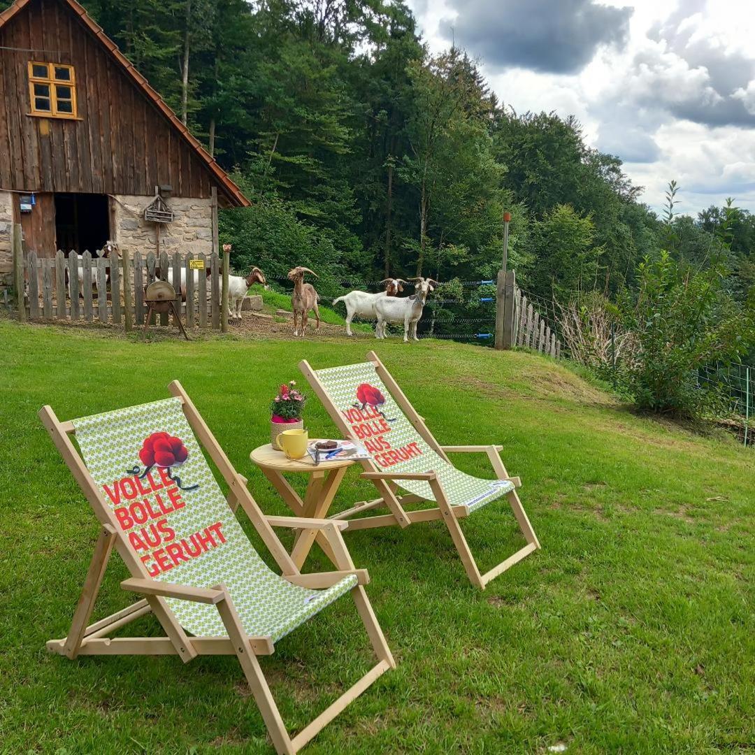 Ferienwohnung Deine Rauszeit Seebach Dış mekan fotoğraf