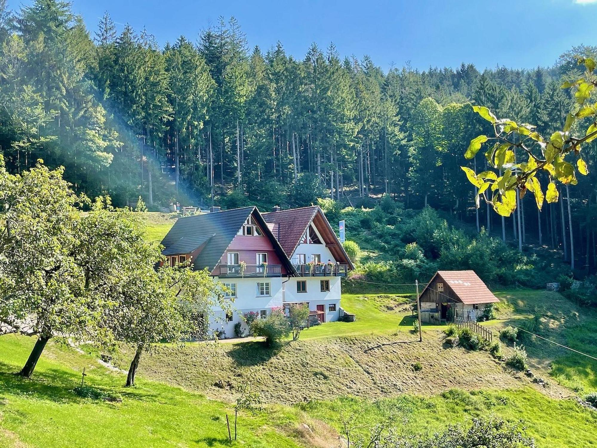 Ferienwohnung Deine Rauszeit Seebach Dış mekan fotoğraf